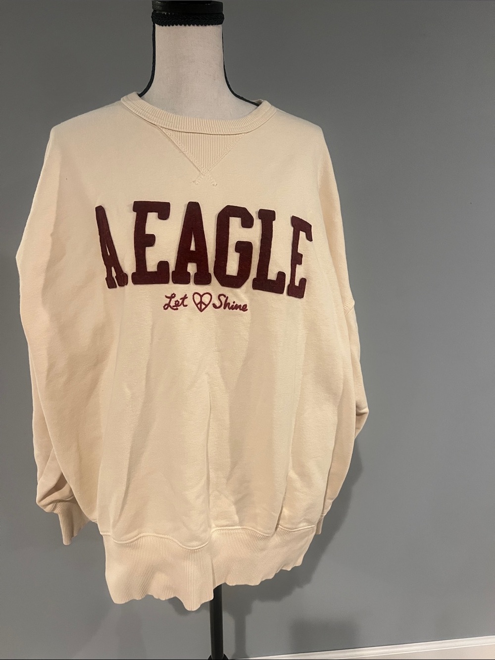 American Eagle Outfitters Ivory Crewneck Pullover